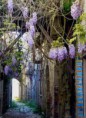 /album/apice-foto/a301445-174158546006705-1894863436-n-jpg/