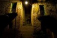 /album/apice-foto/a485234-442423145846909-1714506881-n-jpg/